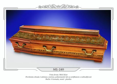 Pogrebni polusarkofag MS 249